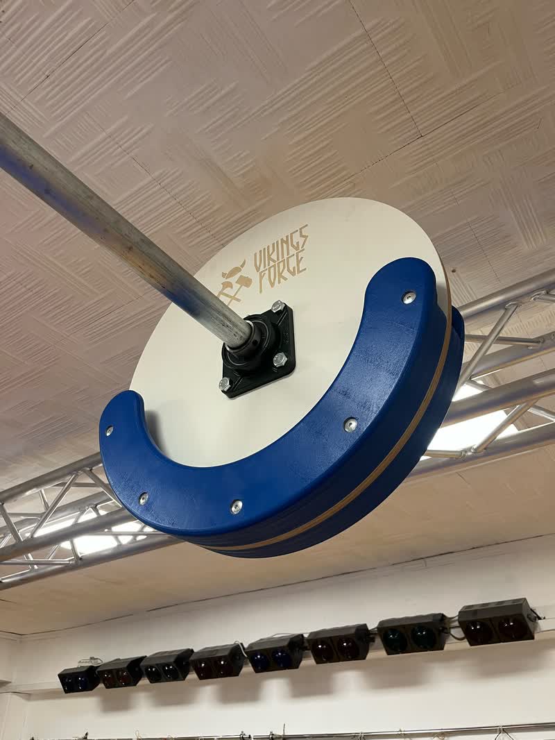 Tarcza z logo Vikings Forge pod kratownicą